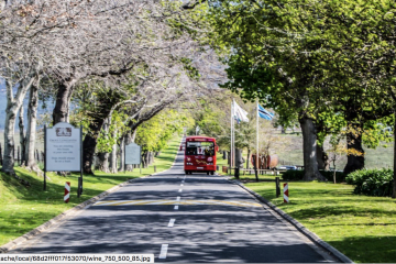 City Sightseeing South Africa: The Tourist Attraction