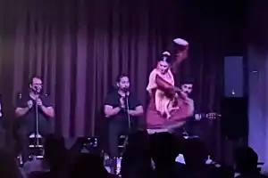 Private Barcelona Night Tapas Tour with Flamenco Show
