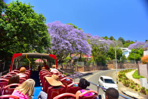 2-Day Hop-on-Hop-off Ticket