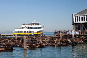 San Francisco Bay Kreuzfahrt