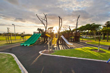 5 Reasons Why You Must Visit the Cape Town Green Point Park