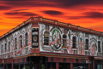Embark on a Restaurant Safari in Cape Town with CSS