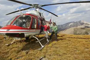 Alpine Heli Hike