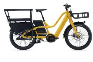 Electric cargo bike - Rental