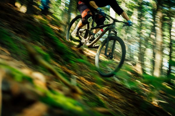 Hardtail