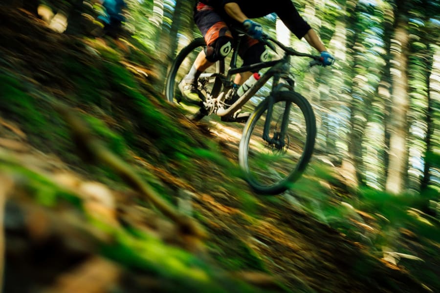 Hardtail