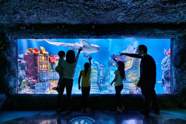 A family in the SEA LIFE Aquarium