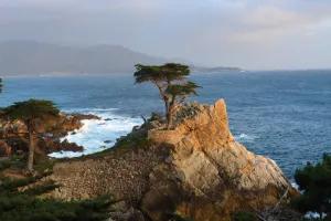 Monterey and Carmel