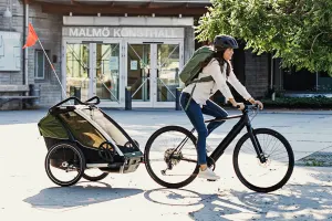 Bike with chariot - Rental