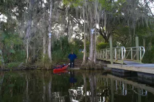 Murphy Island Bartram Paddle & Hike Tour