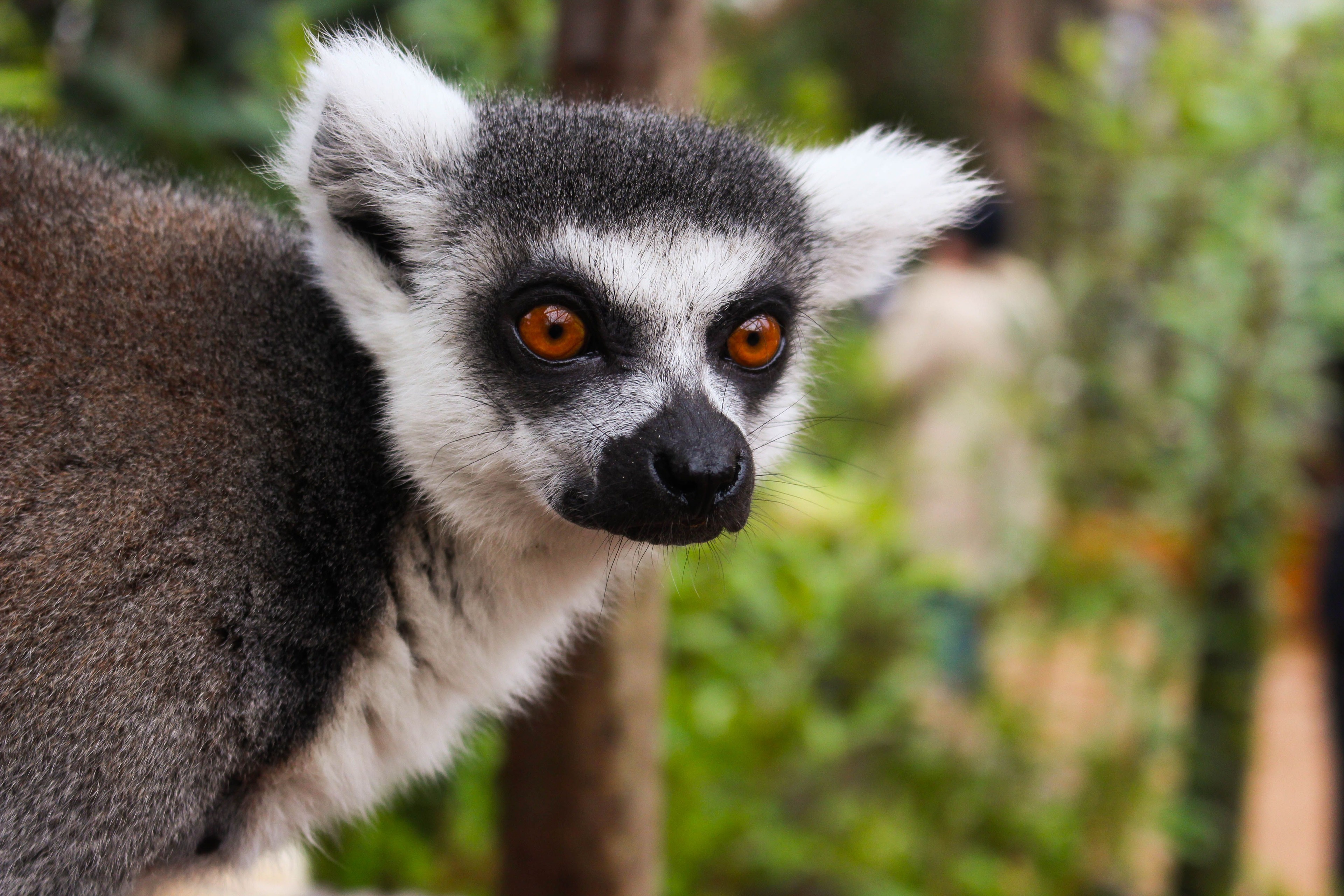 London Zoo – Image 2 | WeShare