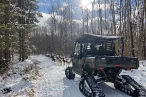 Traineau à Chiens - Expérience d'entrainement pré-saison