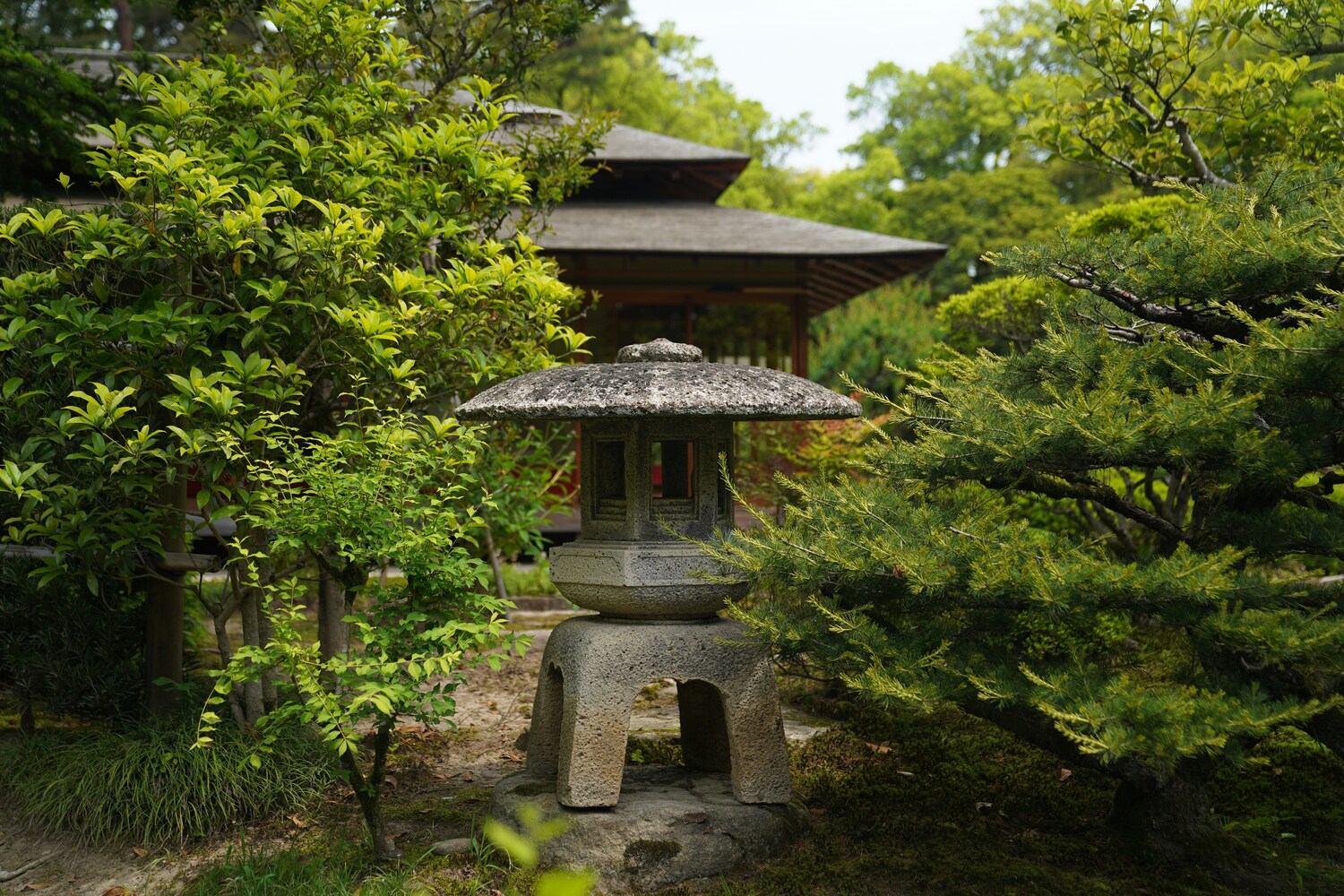 Gallery image 5