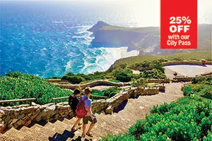 Cape Point & Penguin Xplorer Tour