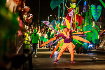 Experience the Cape Town Carnival with City Sightseeing