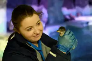 Birmingham Attraction Offers