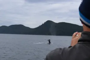 Whale Watching + Mendenhall Glacier Adventure