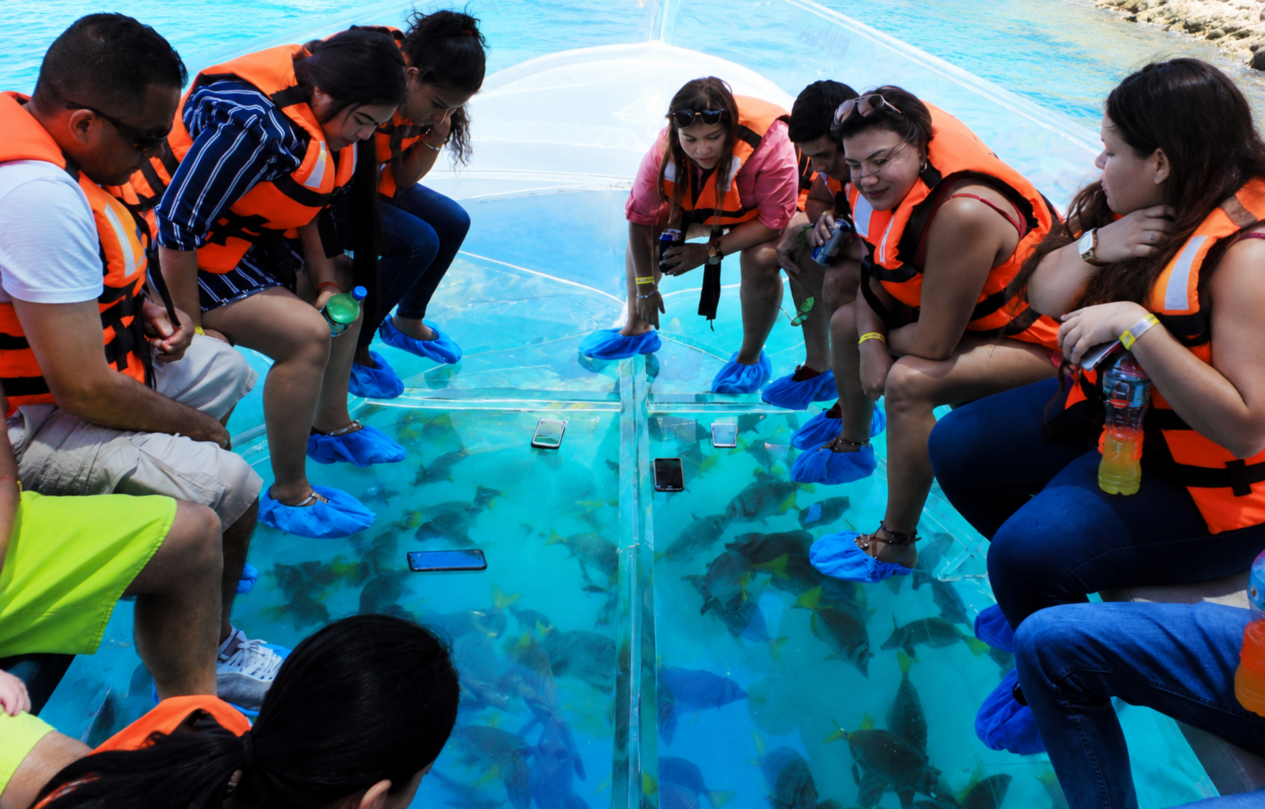 Clear Boat Ride in Los Cabos with Pickup - Accommodations in Los Cabos