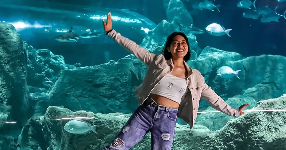 Ticket to Acuario Michin Guadalajara