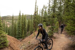 Mountain Bikes