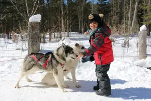 Dogsled Kennel Visit