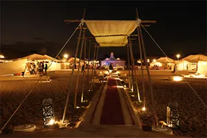 Traditional Desert Safari Experience with Dinner and Dune Bashing