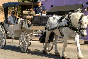 Daytime Private Carriage Ride