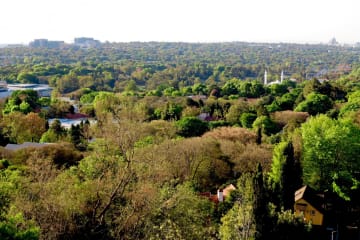 #SundayFunday with the Kirstenbosch Summer Concerts