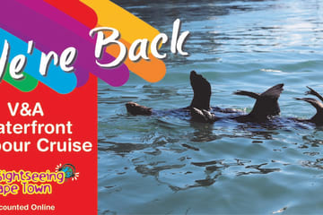 Cruises to experience now that restrictions are lifted