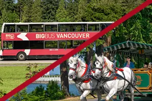 Vancouver 48 Hour Hop-On, Hop-Off + 1 Hour Horse Drawn Carriage