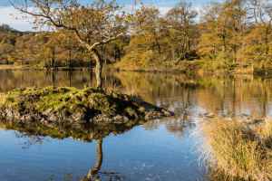 Rydal Water