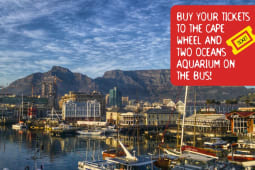 Recommendation: Cape Town Stop 1: V&A Waterfront