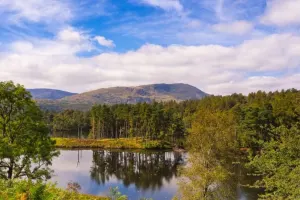 Half Day: Beatrix Potter's Favourite Countryside