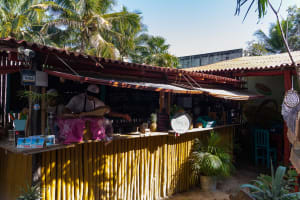 Authentic Tacos