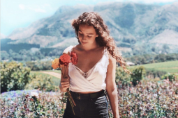 Recommendation: Go rose picking