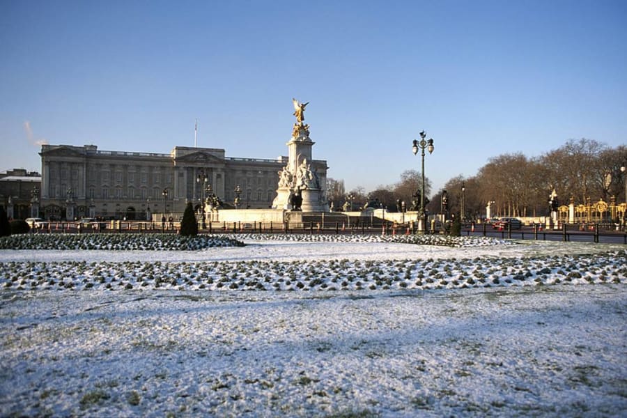 Main Image