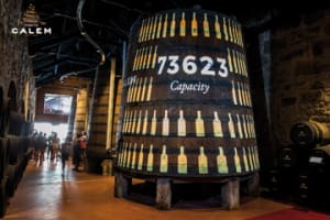 Caves Calem - Visit and Porto Wine Tasting