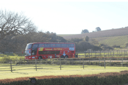 Recommendation: What to see on the Franschhoek &amp; Stellenbosch Winelands Tour: