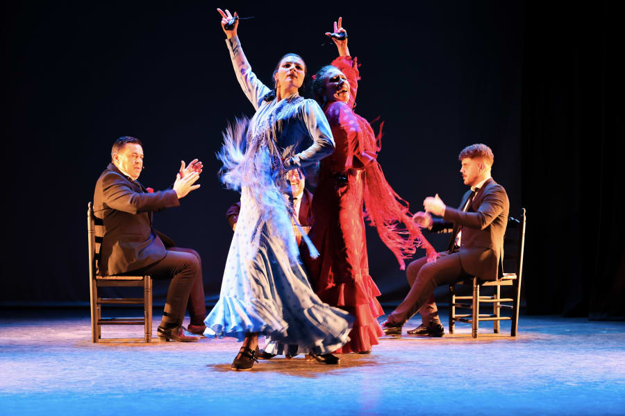 Musicians and performers mid show during Flamenco Live Show