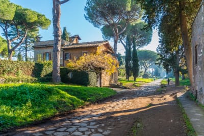 Immagine del prodotto 11