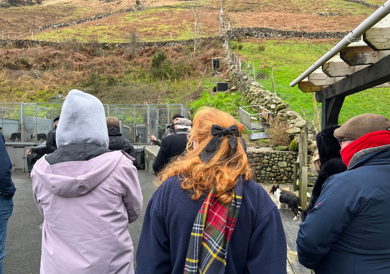 Tour del Connemara da Galway con Abbazia di Kylemore e dimostrazione di cani da pastore - Alloggi in Galway