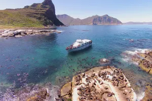 Seal Island Cruise (Hout Bay)