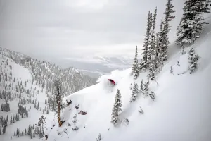 Kicking Horse Powder Express (Shuttle + Ski)