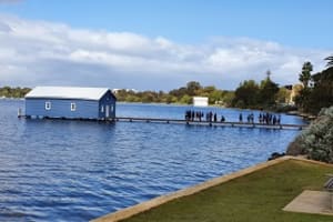 The Blue House