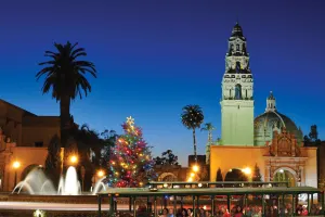 Holiday Sights and Festive Nights