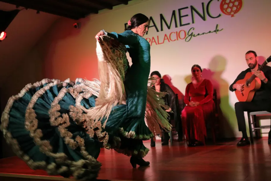 Palacio flamenco granada