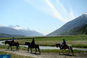 Chilkoot Horseback Adventure