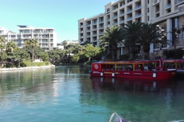 Enjoy City Sightseeing’s Harbour Cruise around the V&A Waterfront