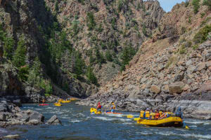 Kayaks