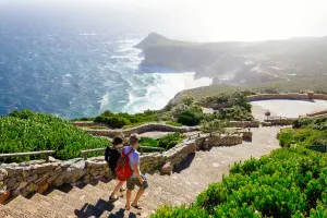 Cape Point & Penguin Xplorer Tour